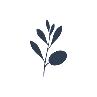 Olive Branch Digital logo in dark blue